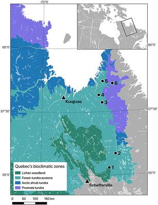Impacts of Climatic Variation on the Growth of Black Spruce Across the Forest-Tundra Ecotone: Positive Effects of Warm Growing Seasons and Heat Waves Are Offset by Late Spring Frosts